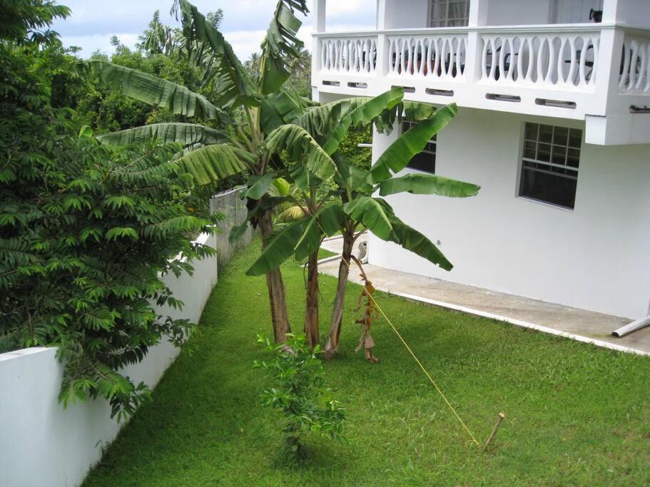 Selen'S Apartment In Ti Rocher Micoud Saint Lucia Екстериор снимка